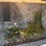 Fish Tank Complete Setup 27L Aquarel Aquarium Image 2