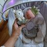 baby seat Image 3