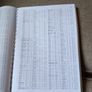 Horse racing form Image 6