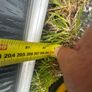 pvc door Image 3