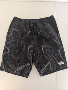 The North Face boys shorts