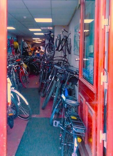 bikes