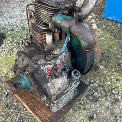 Shed clearout