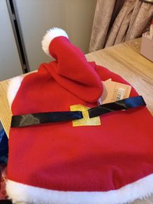 Santa dog coat