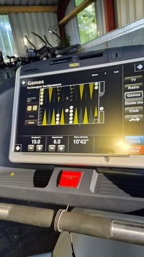 Commercial Top Brand Technogym Treadmills