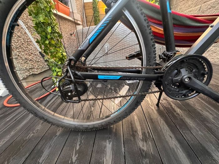 Team Hardtail bike