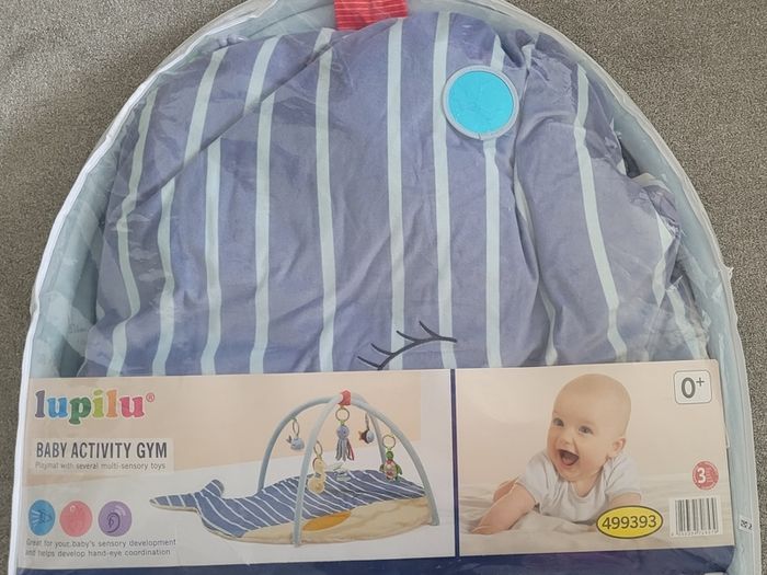 baby activity gym 0m+