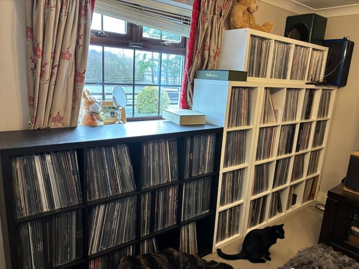 Record For Sale(Mostly Metal)