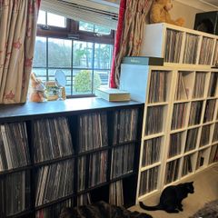 Record For Sale(Mostly Metal)