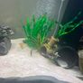 240 litre Aquarium Image 6