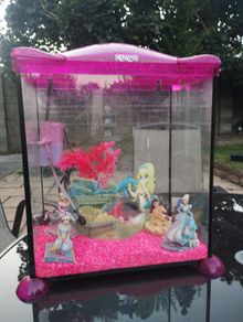 Fish tank 17 litres with pump