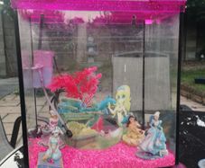 Fish tank 17 litres with pump