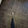 putter Image 4