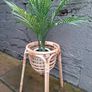 Rattan Plant Stand Image 2