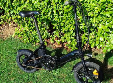 Fiido D3 Electric bike