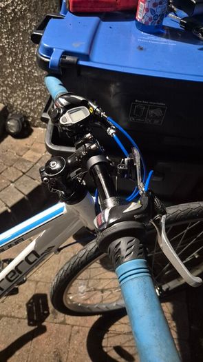 carrera saruna mtb mountain junior bike 26