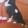 random Image 3