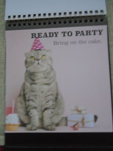 Cat themed flip book, Gift. Book.Mother's Day gift