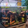 Fish Tank and Stand Image 2