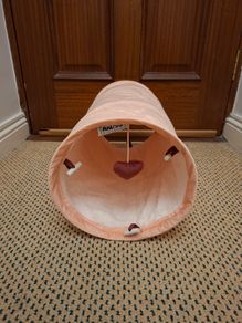 Cat Tunnel