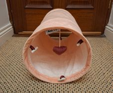 Cat Tunnel