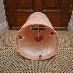 Cat Tunnel