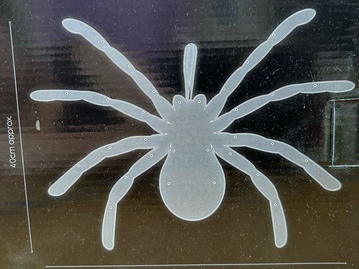 Hanging Furry giant spider