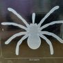 Hanging Furry giant spider Image 2