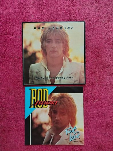 Rod Stewart 2 Vinyl Records