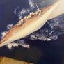 Mythiques Yachts Classiques Image 3