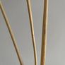 3x Fluffy Pampas Grass Image 3