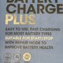 12V Smart Battery Charger Image 4