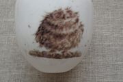 Ceramics, Vase,Owl design, Wrendale designs