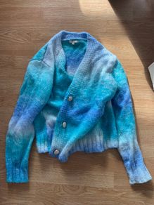Blue Cardigan