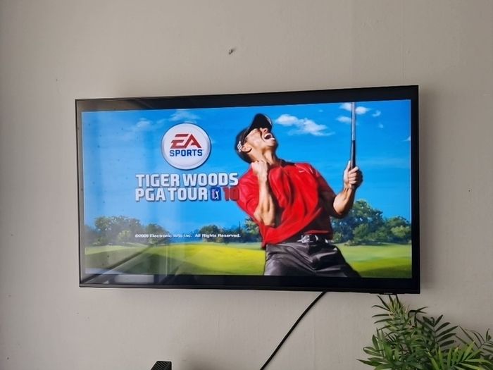 Nintendo Wii Tiger Woods PGA 10 game