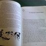 A Thig na tit orm Irish language Gaeilge Image 7