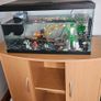 Aquarium and extras Image 2