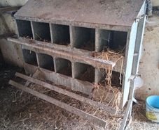 poultry equipment