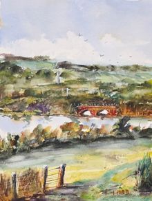 rhincrew co cork watercolour