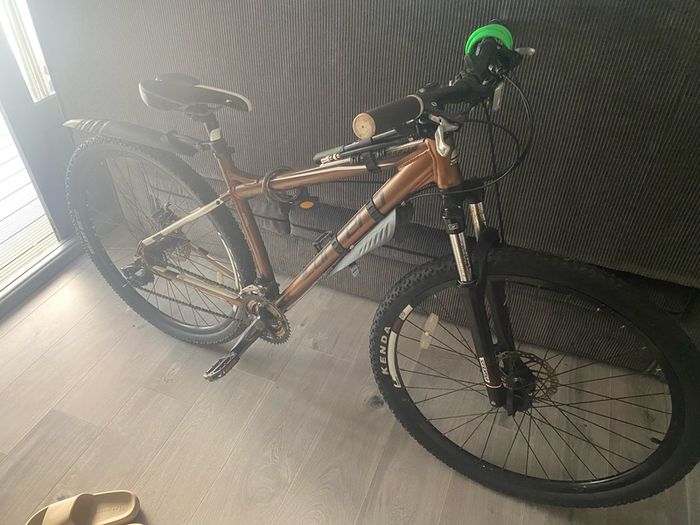 Mountain Bike