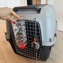 Pet Transport Dog Carrier IATA Image 5
