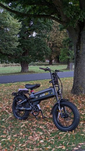Electric bike