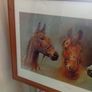 Red rum .arkle and desert orchid picture Image 5