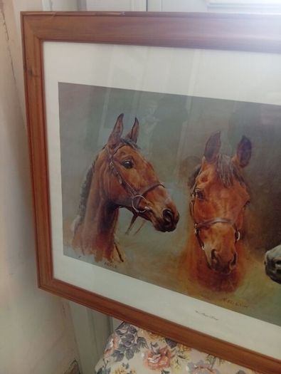 Red rum .arkle and desert orchid picture