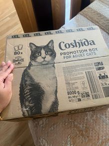 cat  food