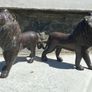 Superb Pair of 19th Century Chinese Antique Bronze Figurines depicting Lions Image 8
