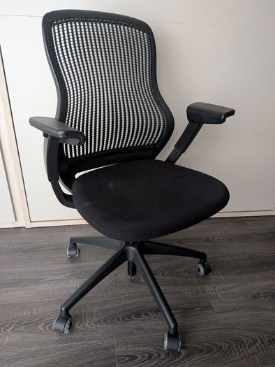 Knoll Regeneration Ergonomic Office Chair