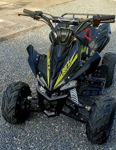 Adult/kids petrol quad