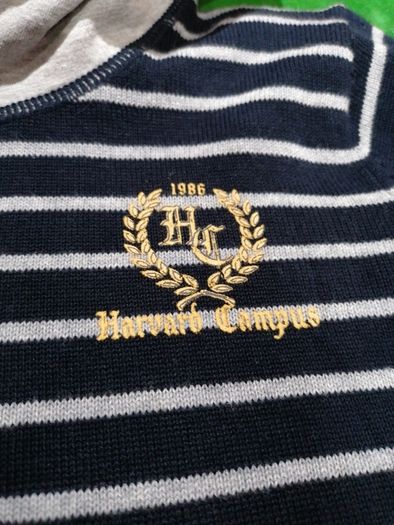Boys Navy Stripe Jumper