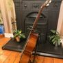 Yamaha C40 Classical Guitar Like New Image 3